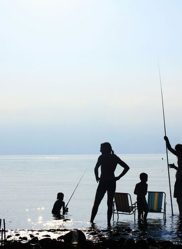 Family Vacation - Various Artists