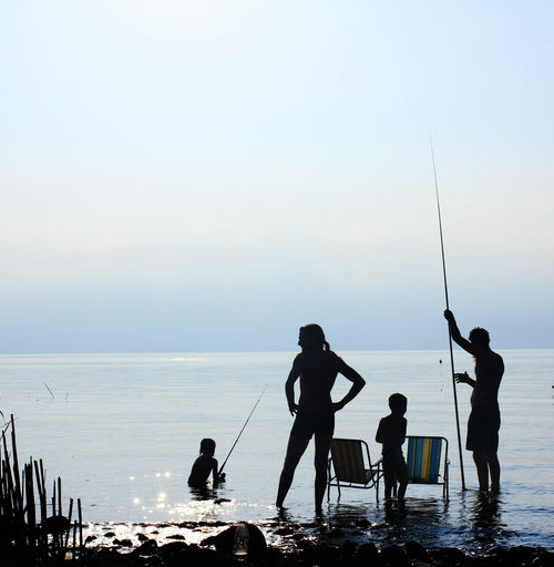 Family Vacation - Various Artists