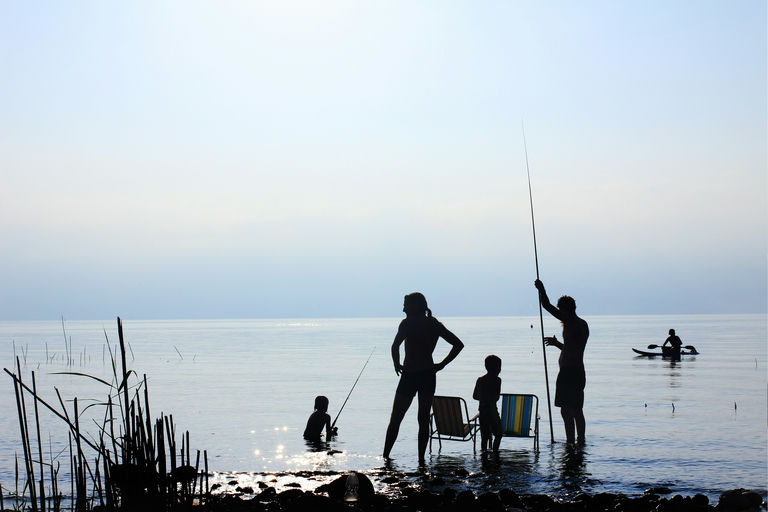 Family Vacation - Various Artists