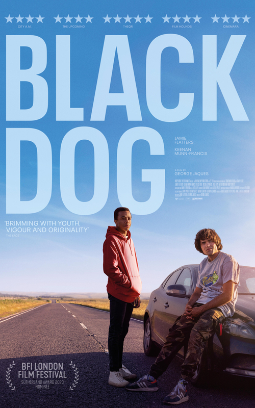 Black Dog