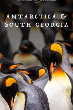 Exploring Antarctica & South Georgia