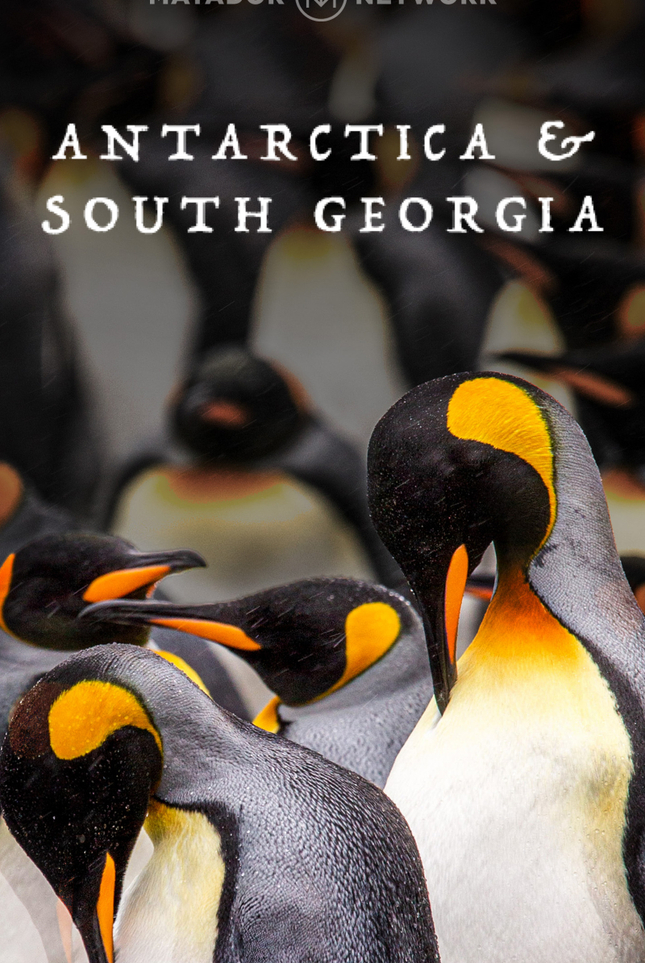 Exploring Antarctica & South Georgia