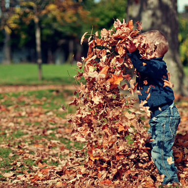 Playing in the Leaves - Various Artists
