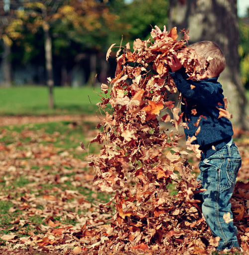 Playing in the Leaves - Various Artists
