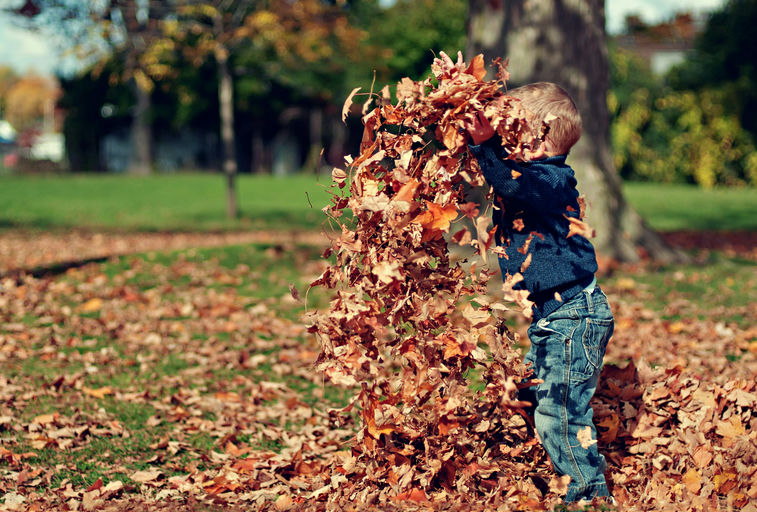 Playing in the Leaves - Various Artists