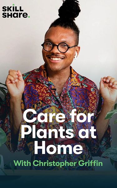 Skillshare: Care for Plants at Home