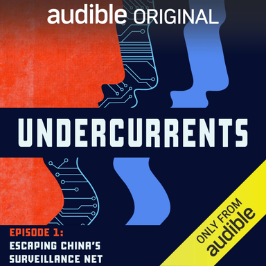 Undercurrents: Tech, Tyrants, and Us - Coda Story