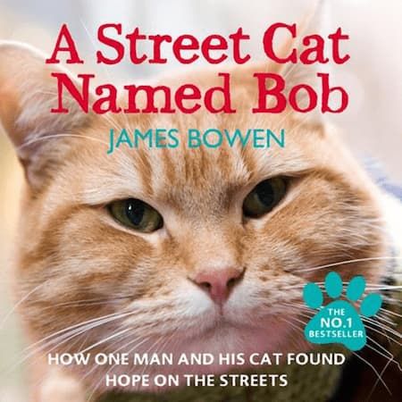 A Streetcat Named Bob - James Bowen