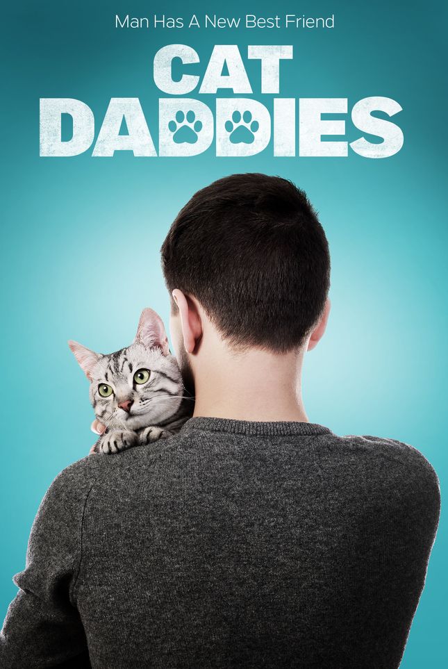 American Airlines Cat Daddies