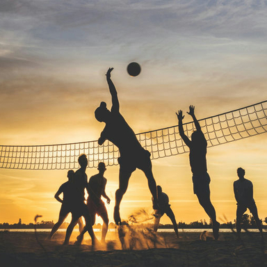 Sports in the Sun - Various Artists