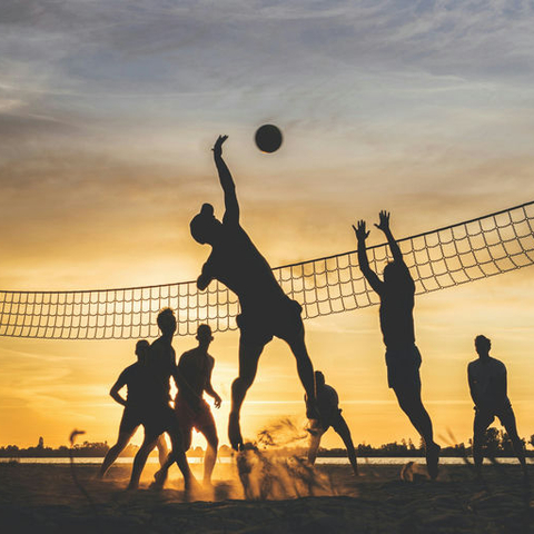 Poster Sports in the Sun - Various Artists