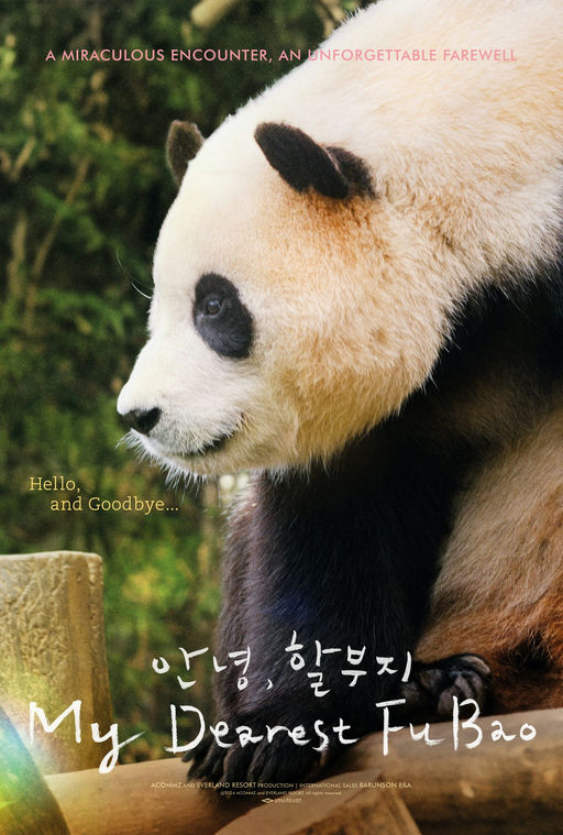 My Dearest Fu Bao