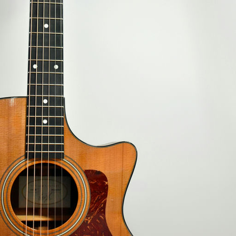 International Guitar Month - Various Artists