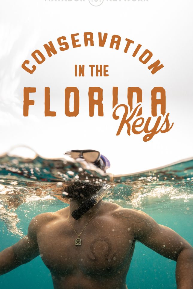Conservation in the Florida Keys